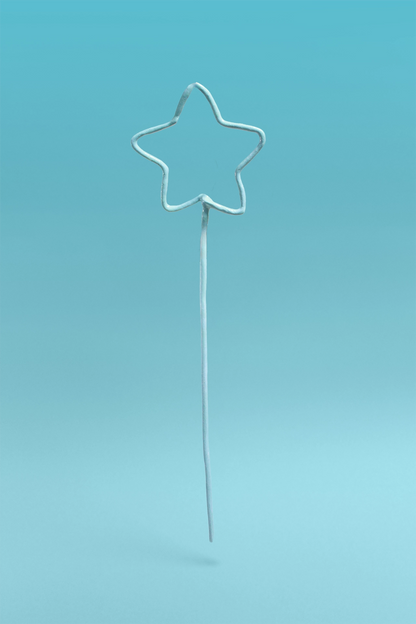 Big Star Vase & Bouquet Sculpture