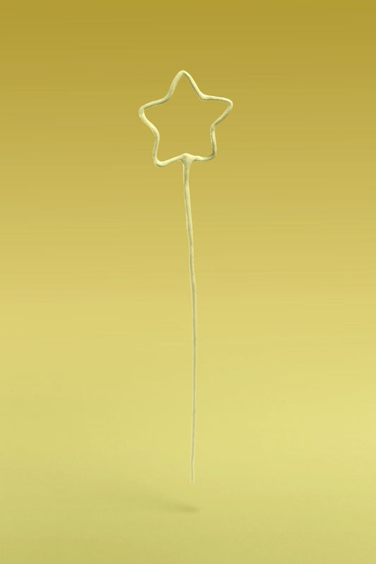 Mini Star Vase & Bouquet Sculpture